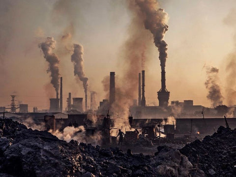 Understanding Environmental Racism: The Impact of Climate Change on Black and Brown Communities