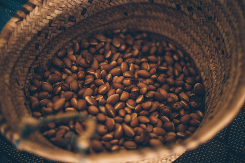 Woven basket full of argan nuts