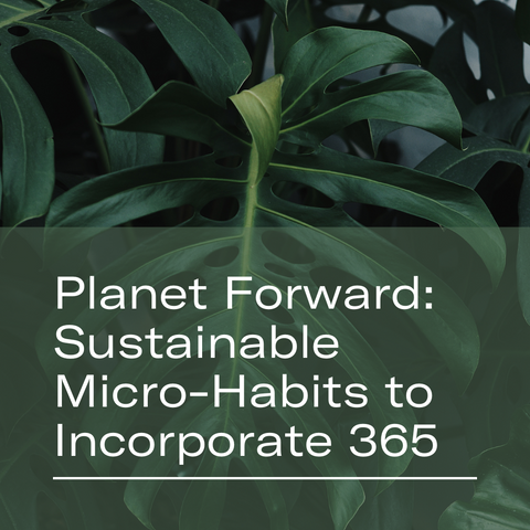 Planet Forward: Sustainable Micro-Habits to Incorporate 365